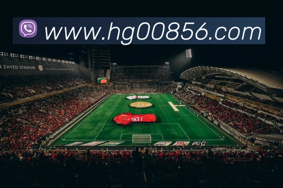 奖项图3